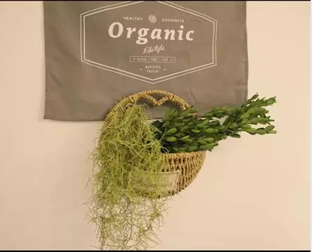 你的家配電箱，所以裝修很漂亮！